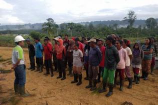 Dorong Serapan Minyak Kelapa Sawit, RSPO Dukung Konsep Shared Responsibility Dorong Serapan Minyak Kelapa Sawit, RSPO Dukung Konsep Shared Responsibility
