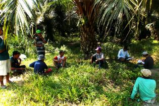 Lewat Dukungan Dana Sawit Dari BPDP-KS, 4.529 Petani Peroleh Pelatihan Lewat Dukungan Dana Sawit Dari BPDP-KS, 4.529 Petani Peroleh Pelatihan