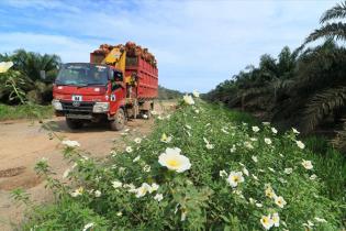 Astra Agro Raih Environment Social Governance (ESG) Award 2020 Astra Agro Raih Environment Social Governance (ESG) Award 2020